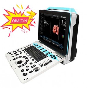 ME-P30 Best 4D/5D Color Doppler Portable Ultrasound Diagnosis System