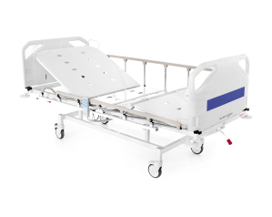 ME-1010 Electronic Patient Bed, 2 Motors